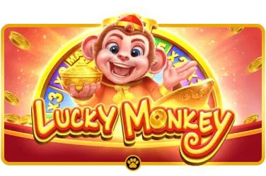 bwin6